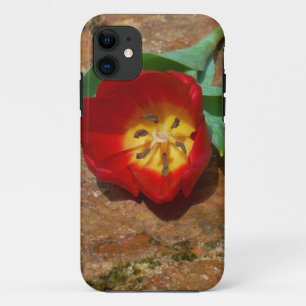 Coque iPhone 11 Tulipe rouge du printemps