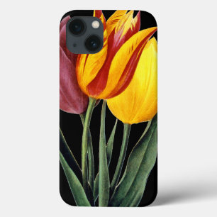Coques Pour iPhone Tulipe (Tulipa Gesneriana)