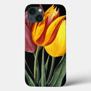 Etui iPhone 13 Tulipe (Tulipa Gesneriana)