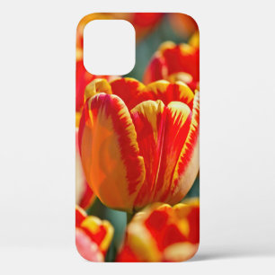 Case-Mate iPhone Case Tulipes de couleurs brillantes