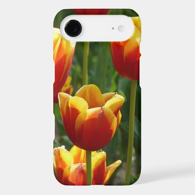 Coques Case-Mate iPhone tulipes d'or (Verso)