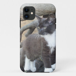 Etui iPhone Case-Mate Tuxedo Kitten