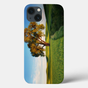 Etui iPhone 13 Un arbre isolé entouré de collines ondoyantes de b