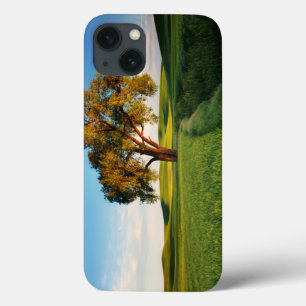 Case-Mate iPhone Case Un arbre isolé entouré de collines ondoyantes de b