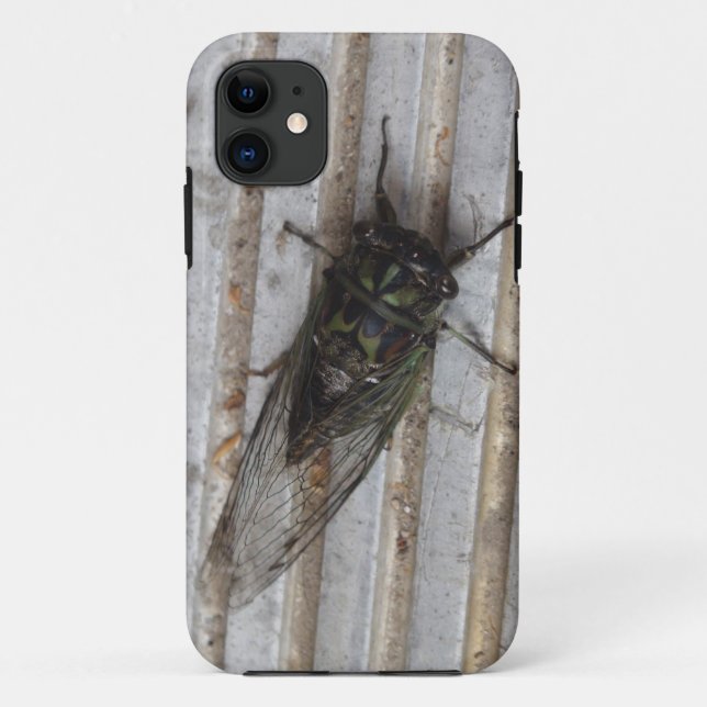 Coques Case-Mate iPhone Un bug de Cicada sur votre dossier téléphonique (Dos)