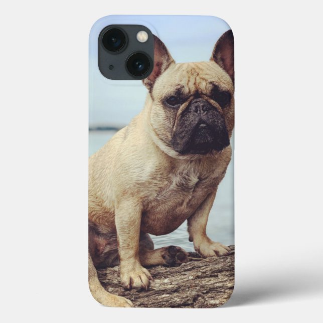 Coques Case-Mate iPhone Un Bulldog français (Verso)