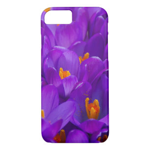 Coque Case-Mate Pour iPhone Un champ de crocus violets
