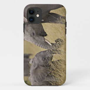 Coque iPhone 11 Un éléphant africain paissant dans les champs