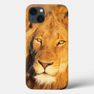 Case-Mate iPhone Case Un lion Maned rouge regardant l'appareil-photo