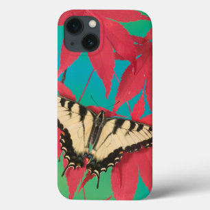 Case-Mate iPhone Case Un papillon canadien de machaon de tigre