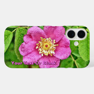 Coque Pour iPhone 16 Un Rose sauvage