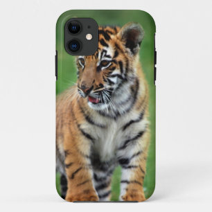 Coques Pour iPhone Un tigre de bébé mignon