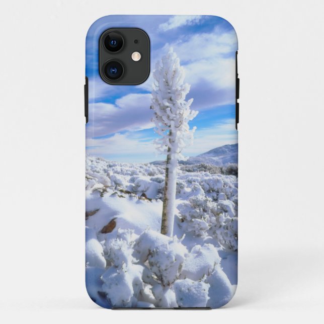 Coques Case-Mate iPhone Un yucca enneigé (Dos)