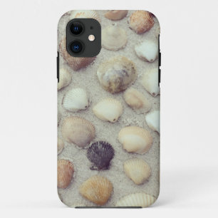 Coque iPhone 11 Une collection de coquillages