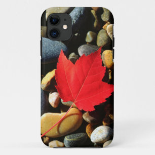 Coques Pour iPhone Une feuille d'érable sur un fond rocheux