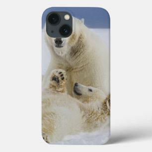 Etui iPhone 13 Une ourse polaire et son ourson jouent dans la nei
