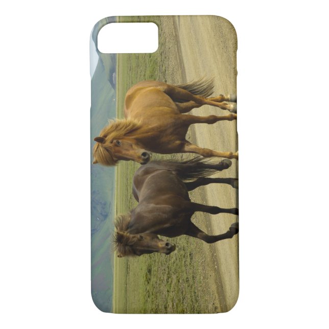 Coques Case-Mate iPhone Une paire de poneys islandais Brown (Dos)
