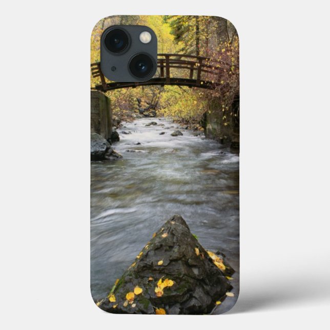 Coques Case-Mate iPhone Une rivière fonctionnant par le canyon américain (Verso)