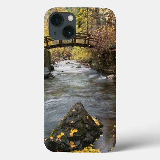 Coques Case-Mate iPhone Une rivière fonctionnant par le canyon américain (Verso)
