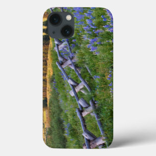 iPhone 13 Coque USA, Colorado. Lupines et clôtures de rails