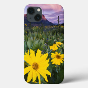 iPhone 13 Case USA, Colorado, Mt. Crested Butte