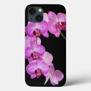 Coques Pour iPhone USA, Georgia, Savannah, Cluster Of Orchids 2