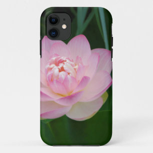 Coque iPhone 11 USA, Kansas, Pink Water Lilly