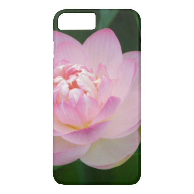 Coques Case-Mate iPhone USA, Kansas, Pink Water Lilly (Dos)