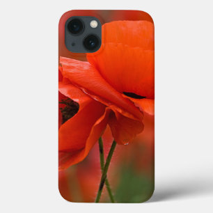 Case-Mate iPhone Case USA, North Carolina. Close-up of poppy