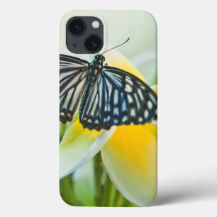 Etui iPhone Case-Mate USA, Pennsylvania. Swallowtail butterfly