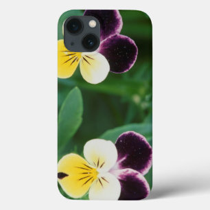iPhone 13 Case USA, Utah, Cache Valley, Johnny Jump Up