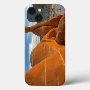 Etui iPhone Case-Mate USA, Utah, Grand Staircase Escalante-National
