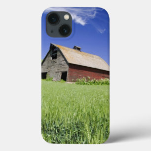 iPhone 13 Coque USA, Washington, Old Red Barn in the Spring