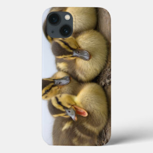 Coques Pour iPhone USA, Washington, Seattle, Lake Washington