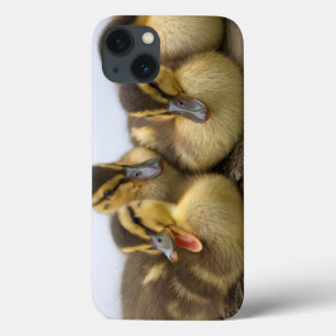 iPhone 13 Case USA, Washington, Seattle, Lake Washington