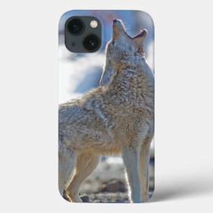 iPhone 13 Case USA, Wyoming, Parc national de Yellowstone, Coyote