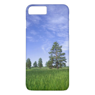 Etui iPhone Case-Mate UTAH. USA. Ponderosa pines Pinus ponderosa) et