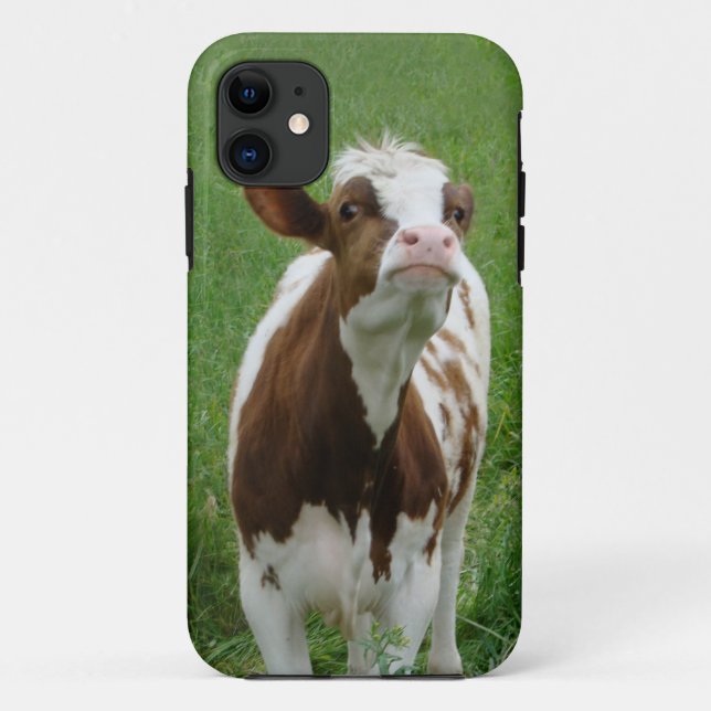 Coques Case-Mate iPhone Vache laitière sur la ferme (Dos)