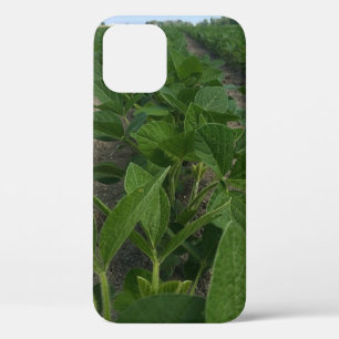 Coque iPhone 12 Pro Vaches de soja Agriculture