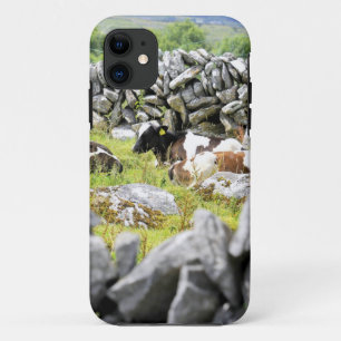 Coque iPhone 11 Vaches qui mugissent