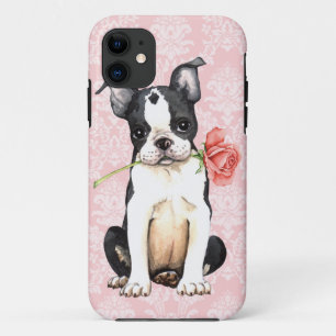 Coque iPhone 11 Valentine Boston rose Terrier
