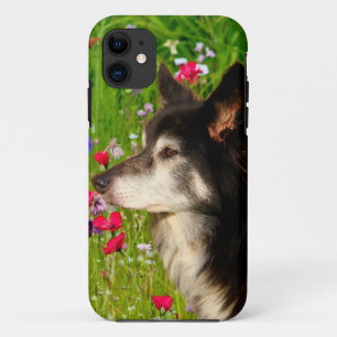 Case-Mate iPhone Case Valentine Frontière Collie avec de belles fleurs