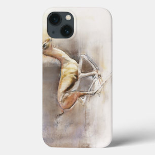 Etui iPhone 13 Vent de désert