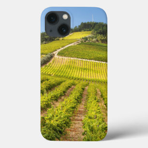 iPhone 13 Case Vignoble, Stellenbosch, Western Cape