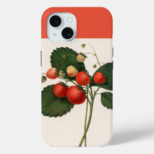 Coque Pour iPhone 15 Vintage Boston Pine Strawberry