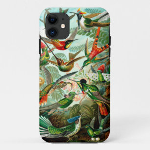 Case-Mate iPhone Case Vintage Ernst Haeckels Kunstformen der Natur, Bird