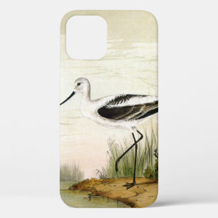 Case-Mate iPhone Case Vintage Marine Life Shorebirds, Avocet Birds