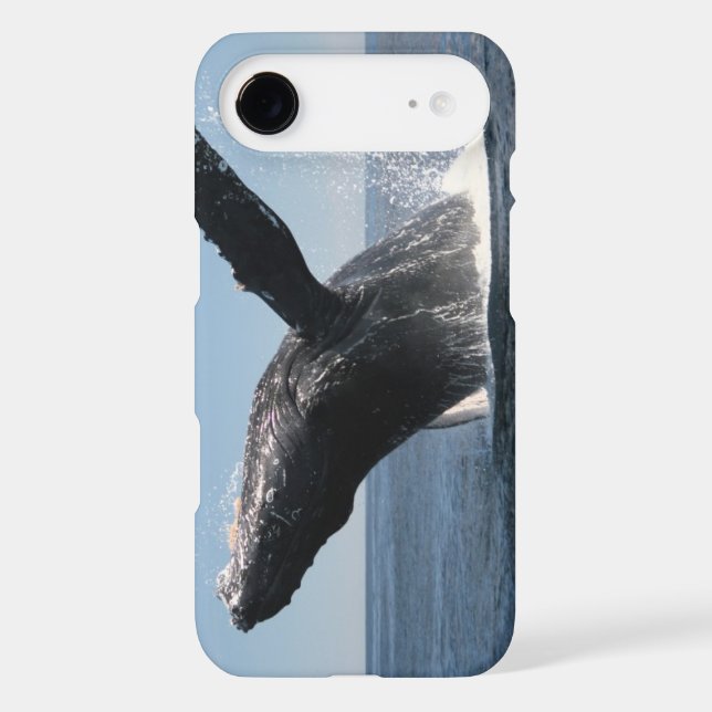 Coques Case-Mate iPhone Violation adulte de baleine de bosse (Verso)