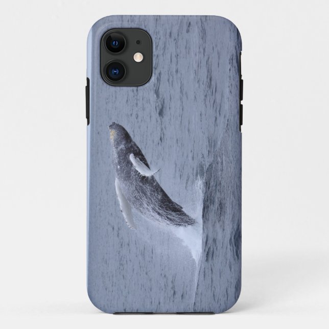 Coques Case-Mate iPhone Violation de baleine de bosse de Coque-compagnon (Dos)