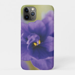 Case-Mate iPhone Case Violet bleu africain Saintpaulia